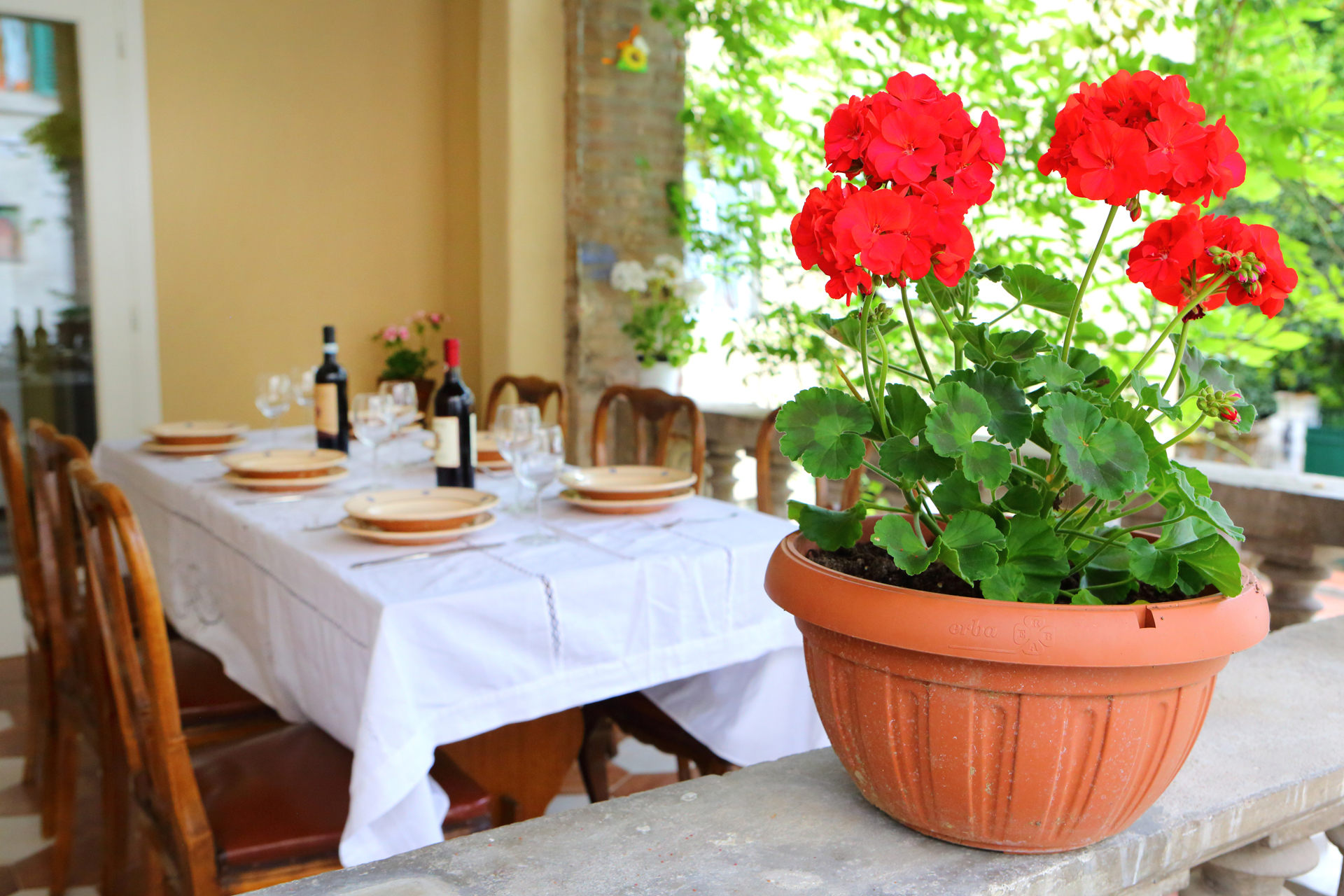 Terrace