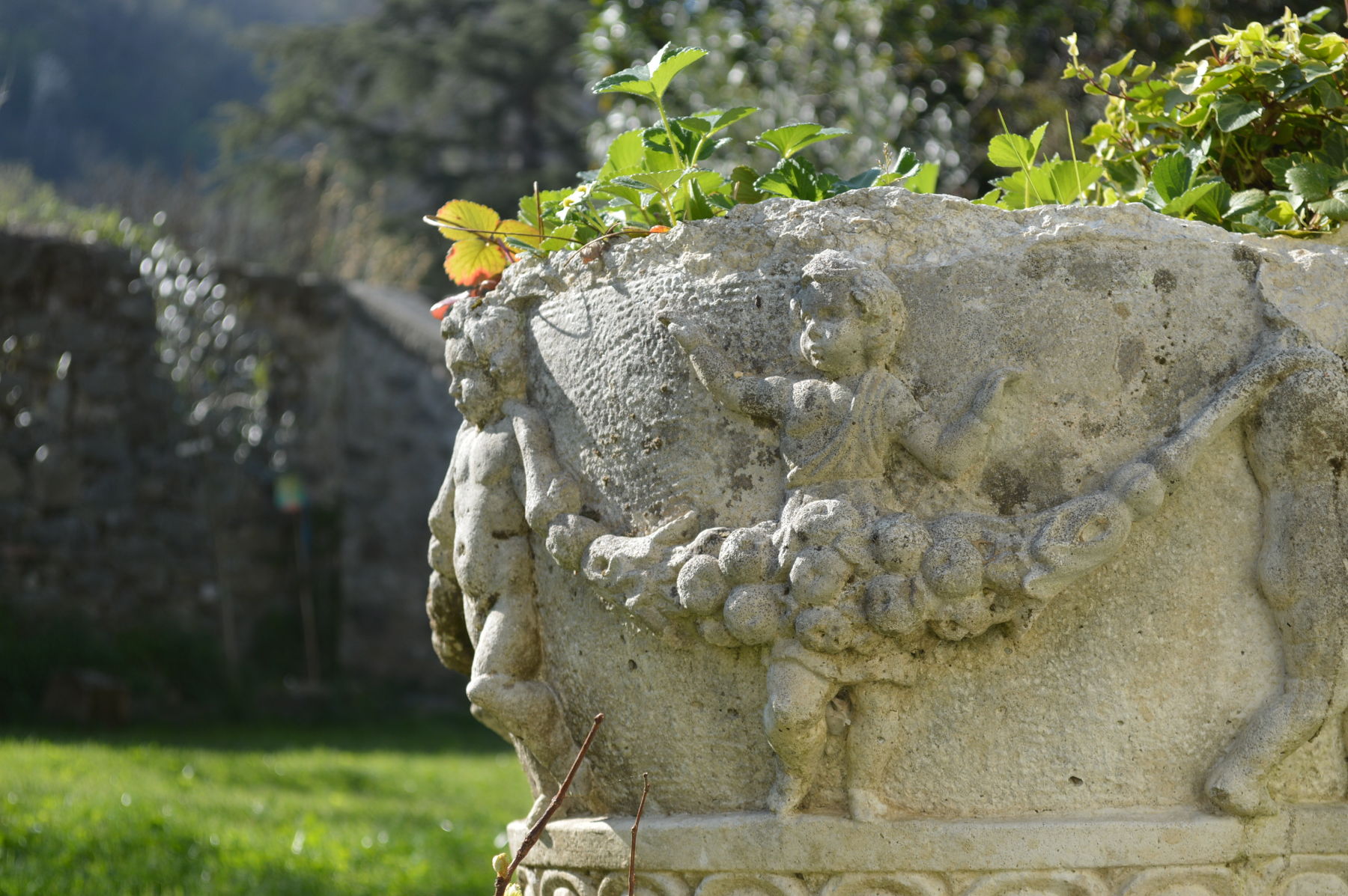 Old Vase